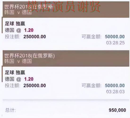 世界杯直播背景下的世界杯买球平台解析与速度测试
